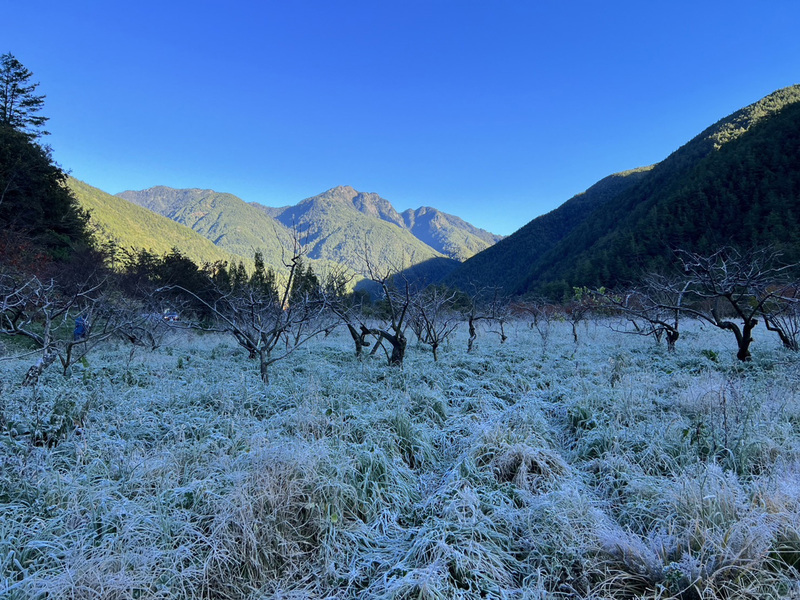 Vào sáng sớm ngày 19/12 vừa qua, nông trại Vũ Lăng ở thành phố Đài Trung đã xuất hiện nhiệt độ thấp tới -1,5℃, mặt đất thung lũng phía nam của nông trại phủ đầy băng. (Nguồn ảnh: Nông trại Vũ Lăng cung cấp/ CNA)