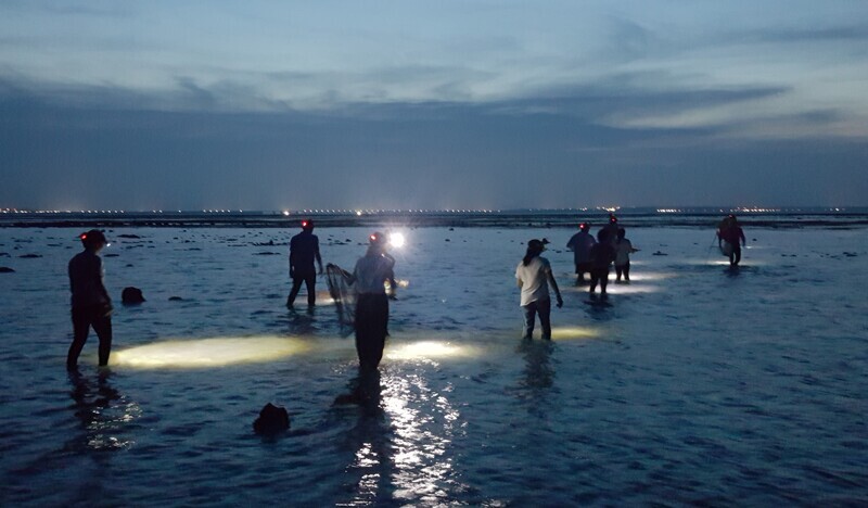Mùa bạch tuộc Bành Hồ đã đến, ngư dân ráo riết xuống biển soi đèn bắt bạch tuộc trong đêm. (Ảnh: CNA)